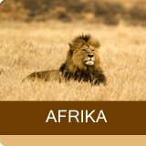 Afrika